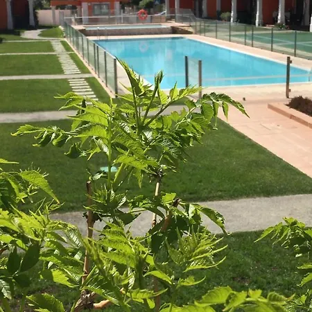 Lux Amerela 4l * Tavira