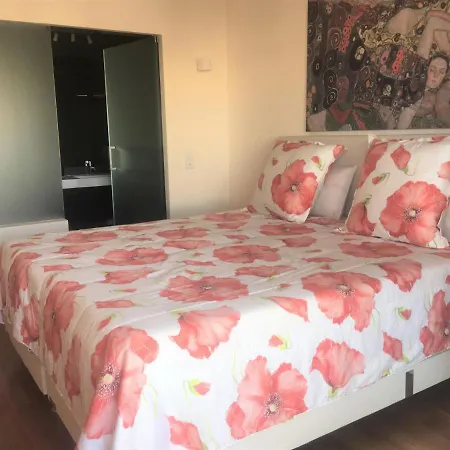 Lux Amerela 4l Tavira